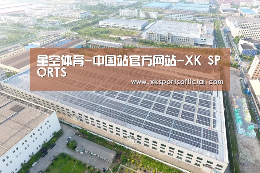 案例展示二