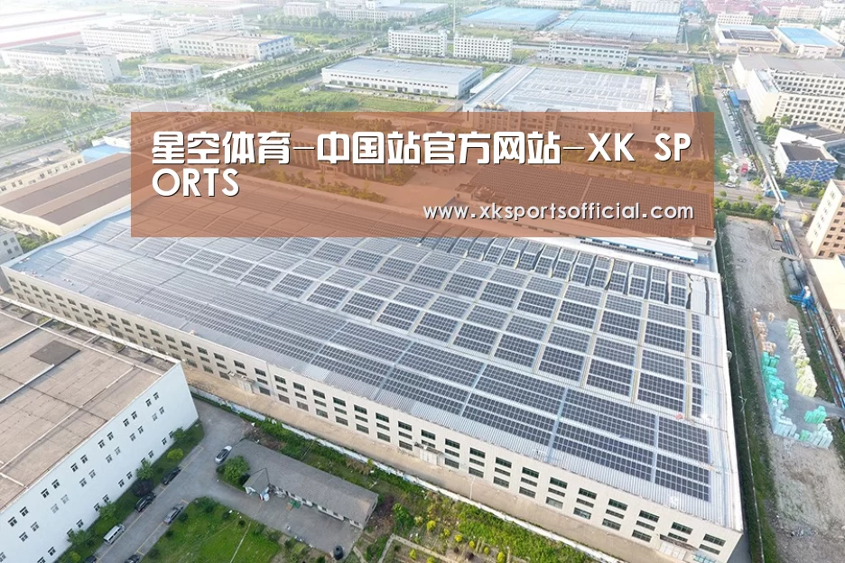 案例展示二