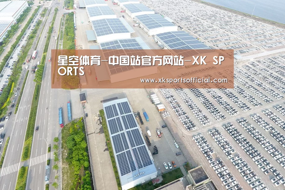 案例展示一