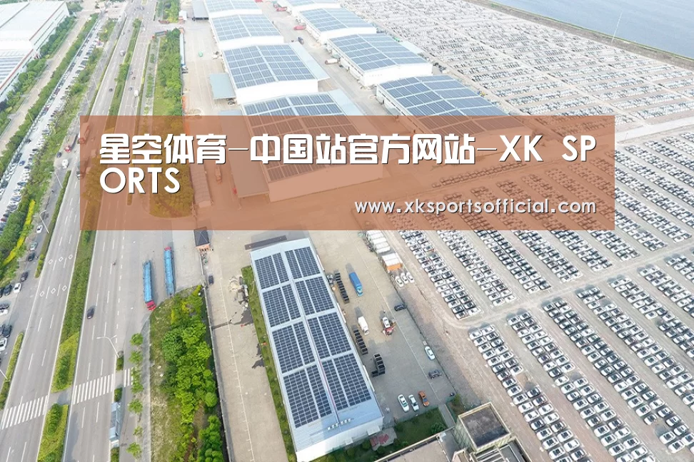 案例展示四