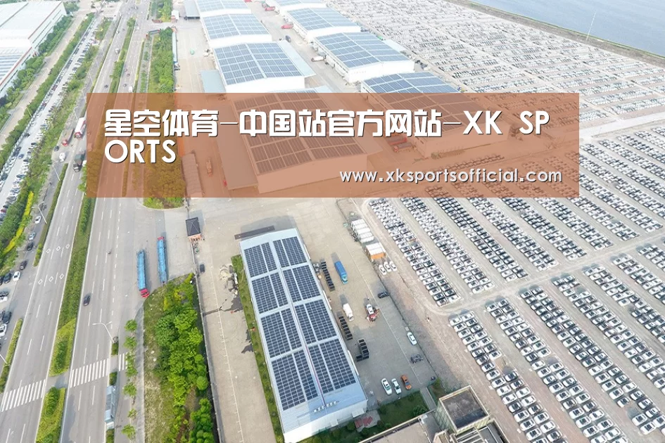 案例展示三