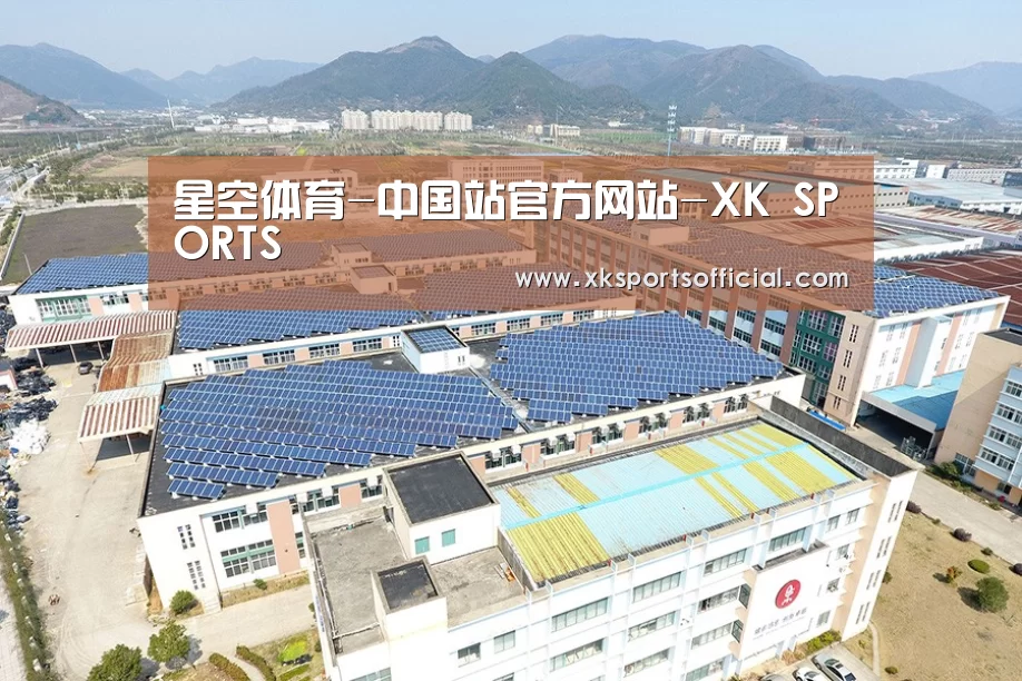 案例展示三
