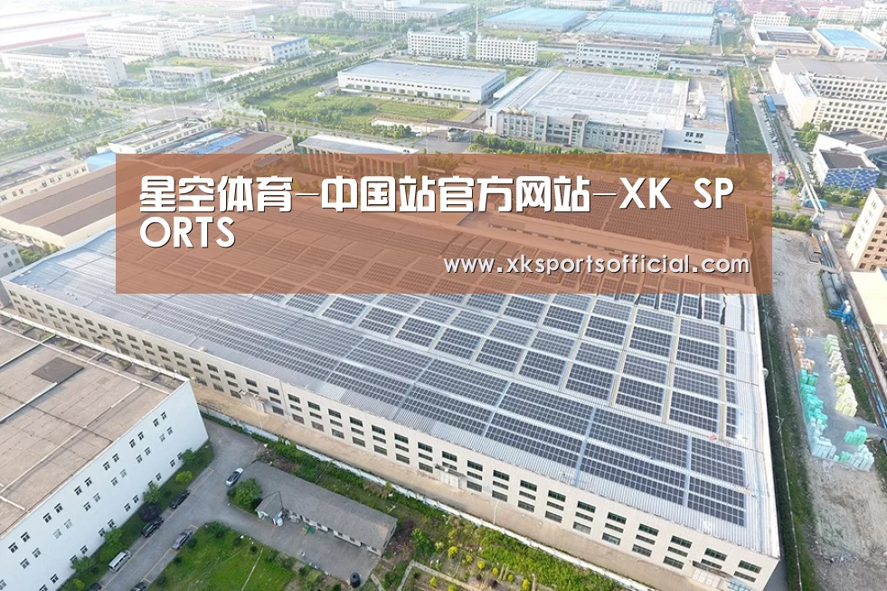 案例展示四