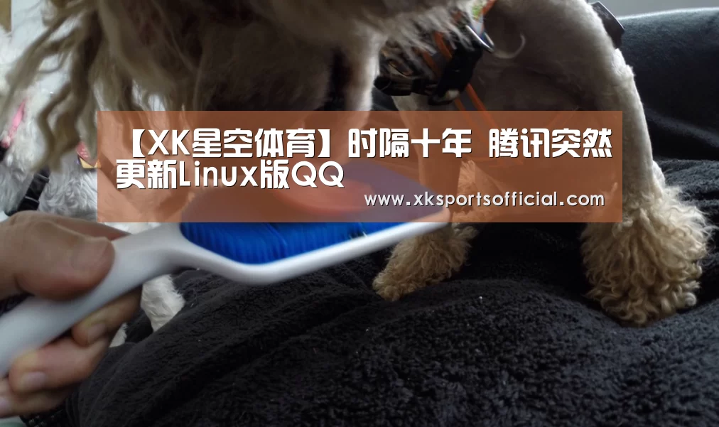 【XK星空体育】时隔十年 腾讯突然更新Linux版QQ(图3) XK体育