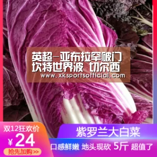 XK体育