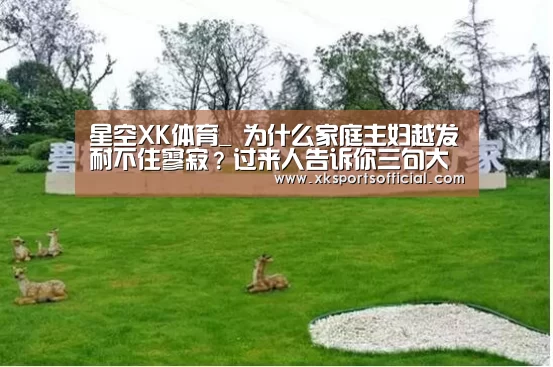 XK星空体育