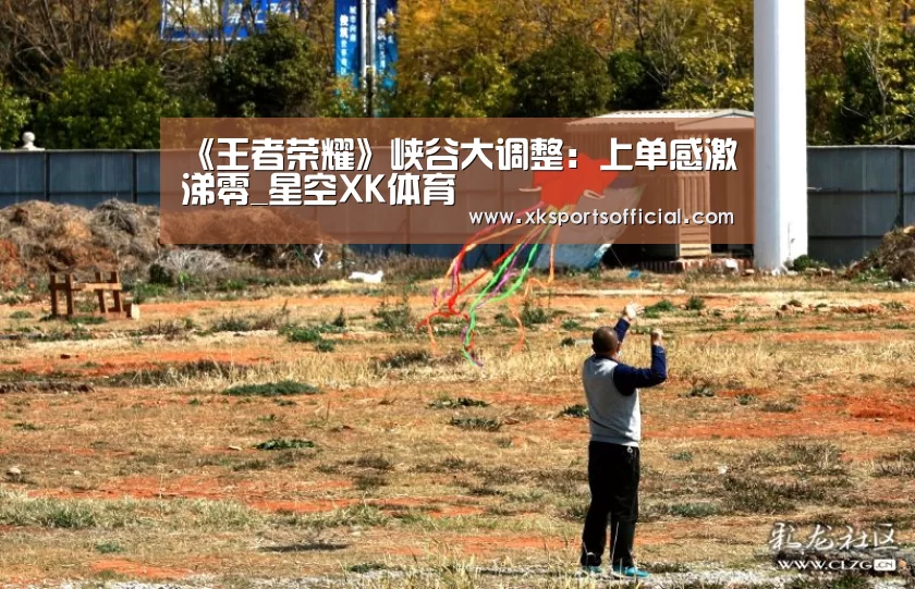 《王者荣耀》峡谷大调整:上单感激涕零_星空XK体育(图2) 星空XK体育